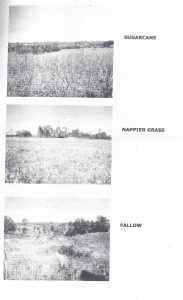 Photos oof Busia property