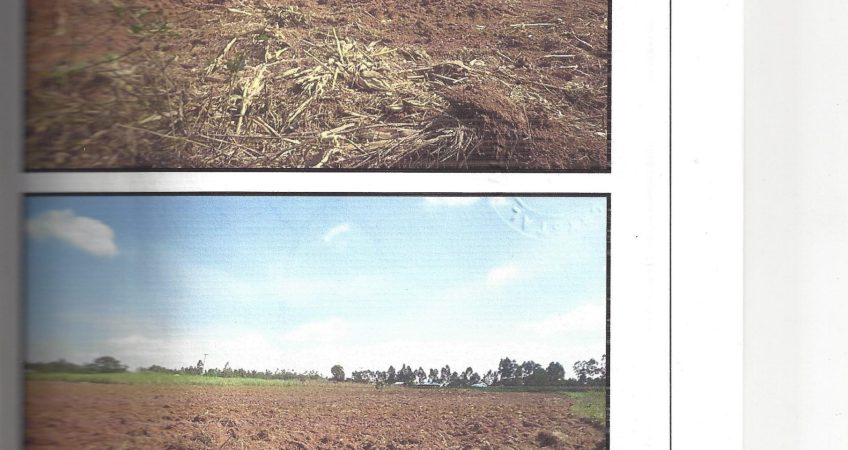 PROPERTY IN BUSIA FOR AUCTION