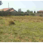 RESIDENTIAL PROPERTY IN LANDLESS ESTATE, THIKA – KIAMBU COUNTY