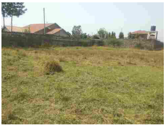RESIDENTIAL PROPERTY IN LANDLESS ESTATE, THIKA – KIAMBU COUNTY