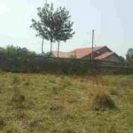 RESIDENTIAL PROPERTY IN LANDLESS ESTATE, THIKA – KIAMBU COUNTY