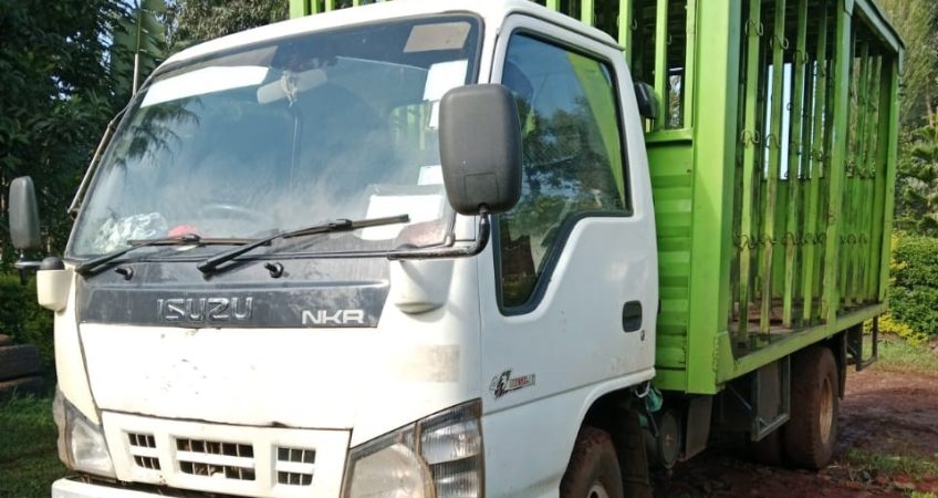 ISUZU NKR TRUCK  