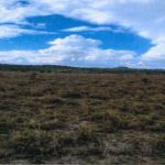 RESIDENTIAL PROPERTY IN LUKENYA AREA – MACHAKOS COUNTY