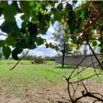 RESIDENTIAL PROPERTY IN KITENGELA – KAJIADO COUNTY