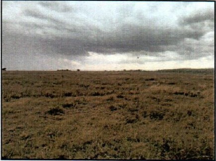 RESIDENTIAL PROPERTY IN OLTUROTO AREA, KISAJU – KAJIADO COUNTY  