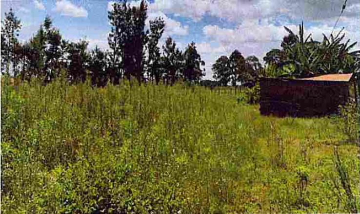 COMMERCIAL CUM AGRICULTURAL PROPERTY IN KITALE – TRANS NZOIA COUNTY  