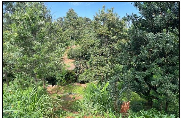 RESIDENTIAL PROPERTY IN CHOGORIA AREA – THARAKA NITHI COUNTY  