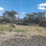 RESIDENTIAL PROPERTY IN KANDISI AREA, ONGATA RONGAI – KAJIADO COUNTY