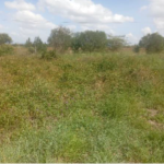 RESIDENTIAL PROPERTIES IN OSTRICH FARM, KITENGELA – KAJIADO COUNTY