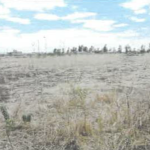 AGRICULTURAL PROPERTY IN NDURURUMO, RUIRU – KIAMBU COUNTY
